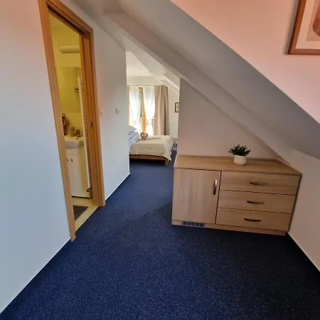 Wellness Jana 3* Lopeník