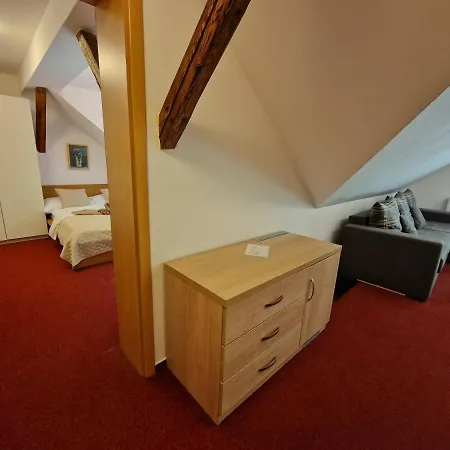 Hotel Wellness Jana 3*