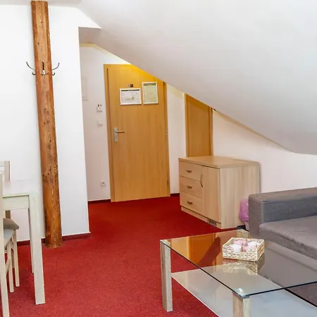 Wellness Jana 3* Lopenik