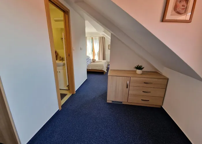 Wellness Jana 3* Lopeník