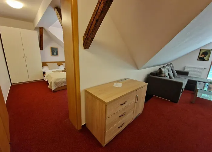 Hotel Wellness Jana 3*