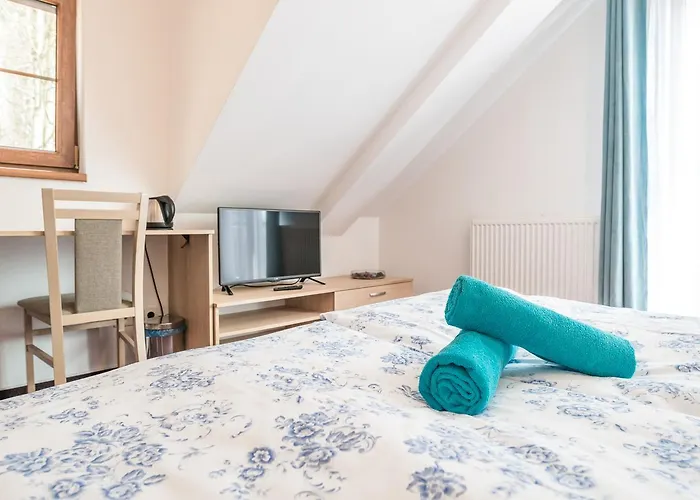 Wellness Jana 3* Lopeník